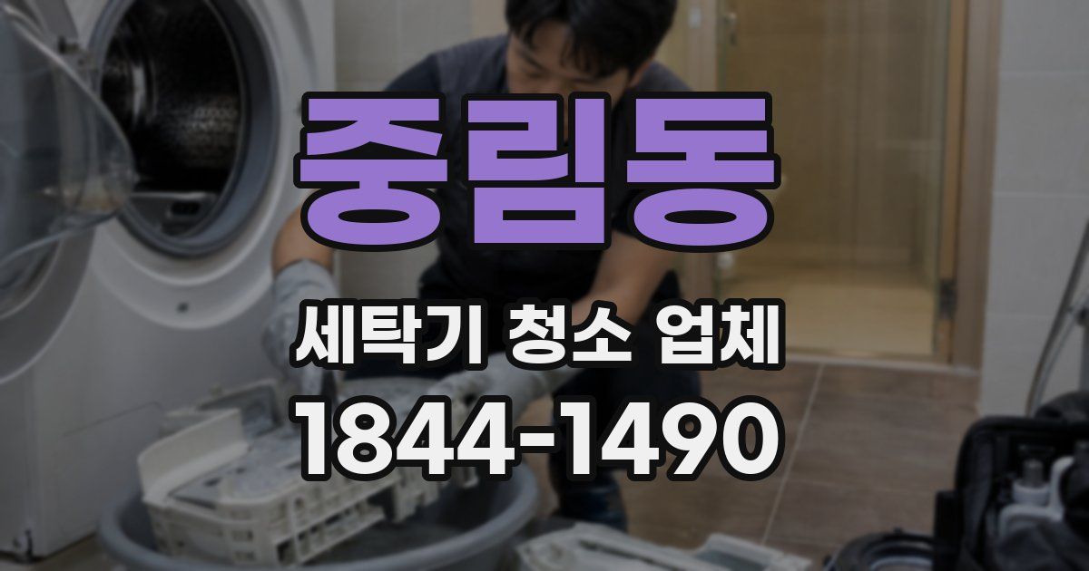 중림동 세탁기 청소 업체