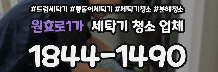 원효로1가 세탁기 청소 업체