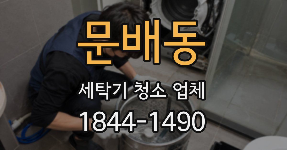 문배동 세탁기 청소 업체