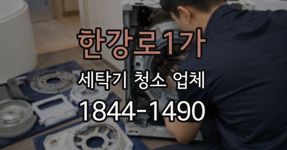 한강로1가 세탁기 청소 업체