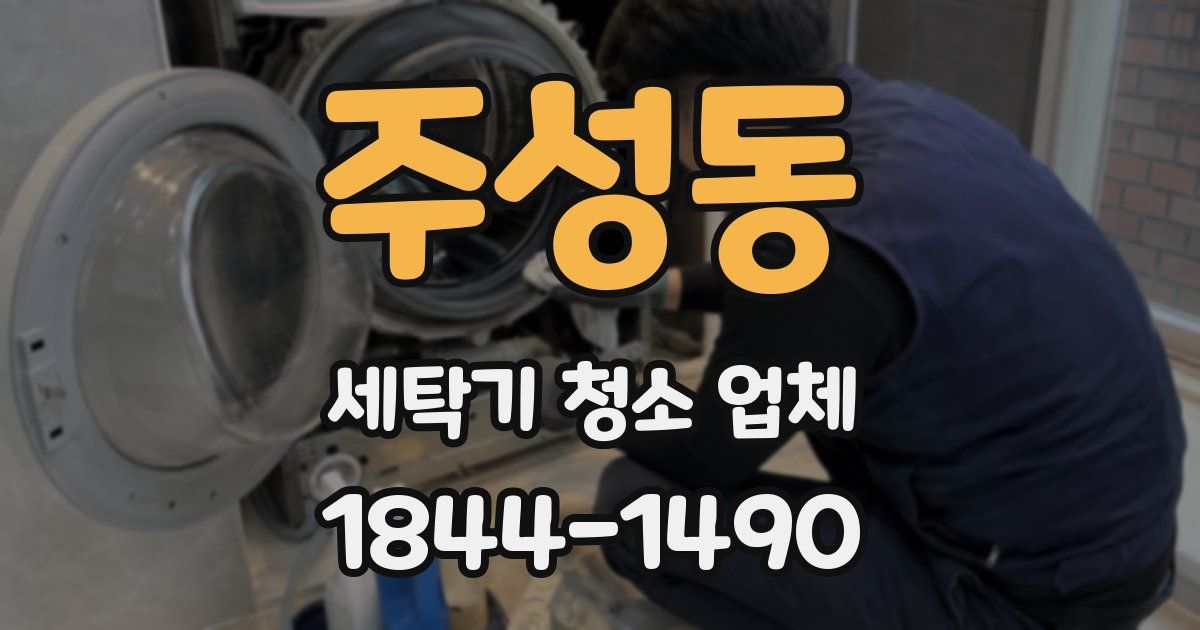 주성동 세탁기 청소 업체