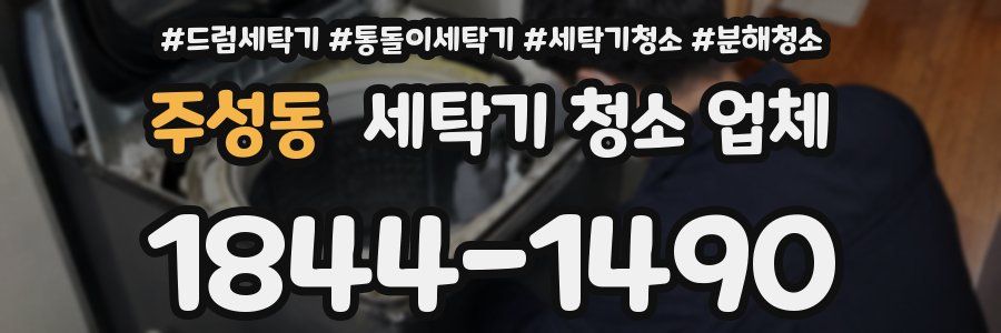 주성동 세탁기 청소 업체