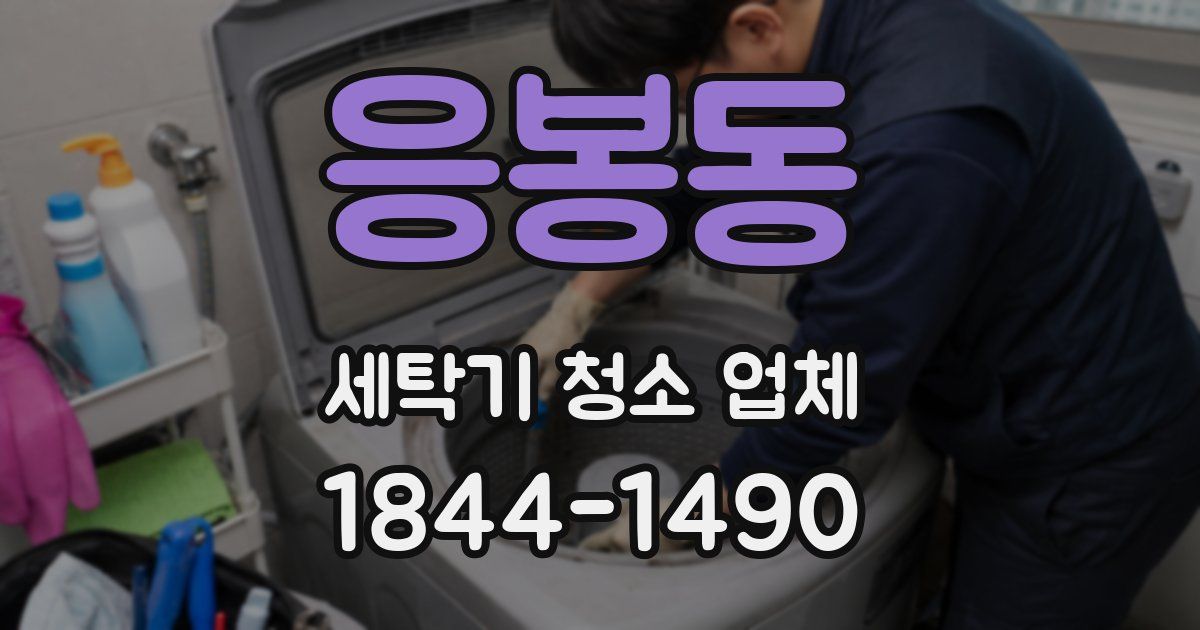 응봉동 세탁기 청소 업체