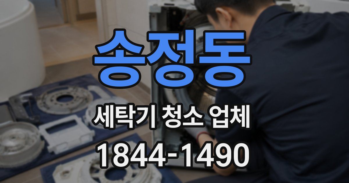 송정동 세탁기 청소 업체