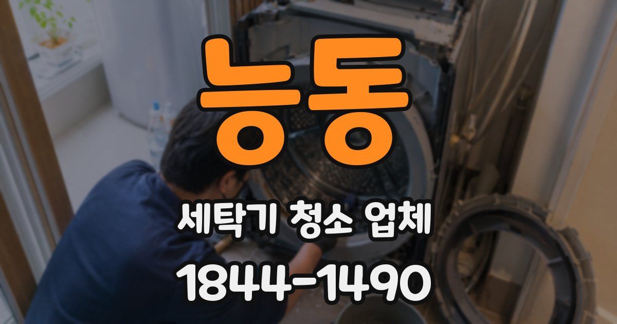 능동 세탁기 청소 업체