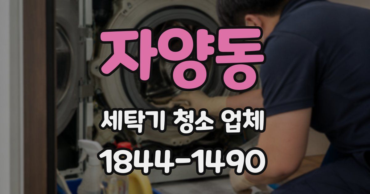자양동 세탁기 청소 업체