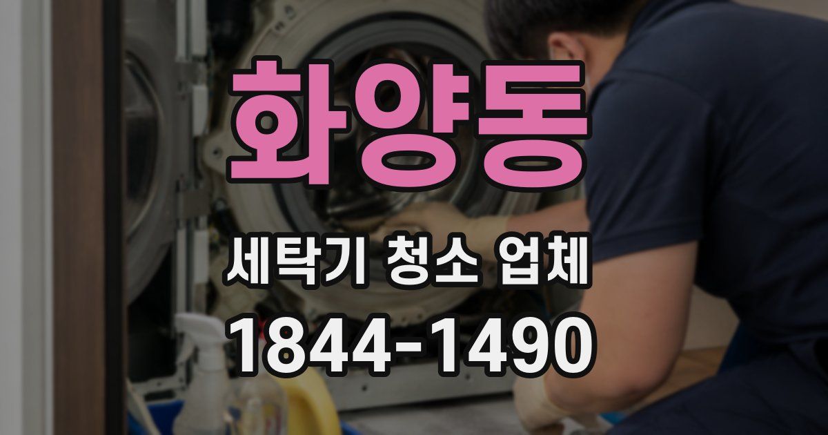 화양동 세탁기 청소 업체