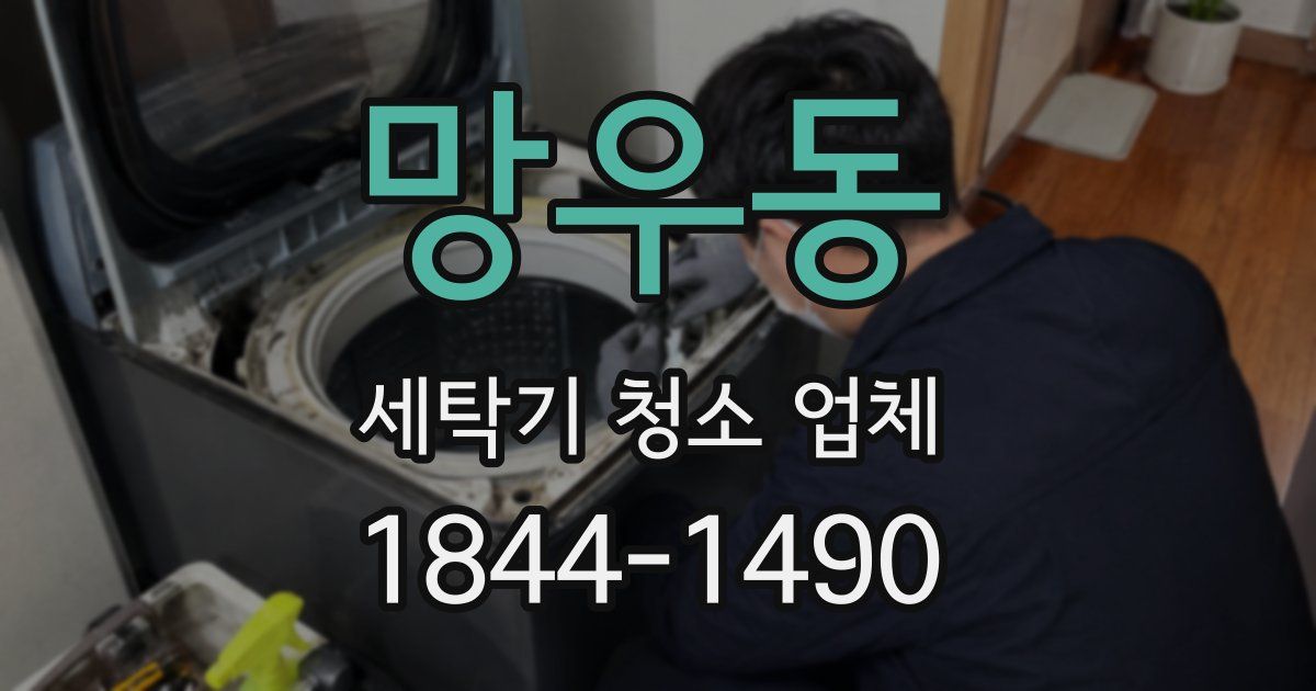 망우동 세탁기 청소 업체