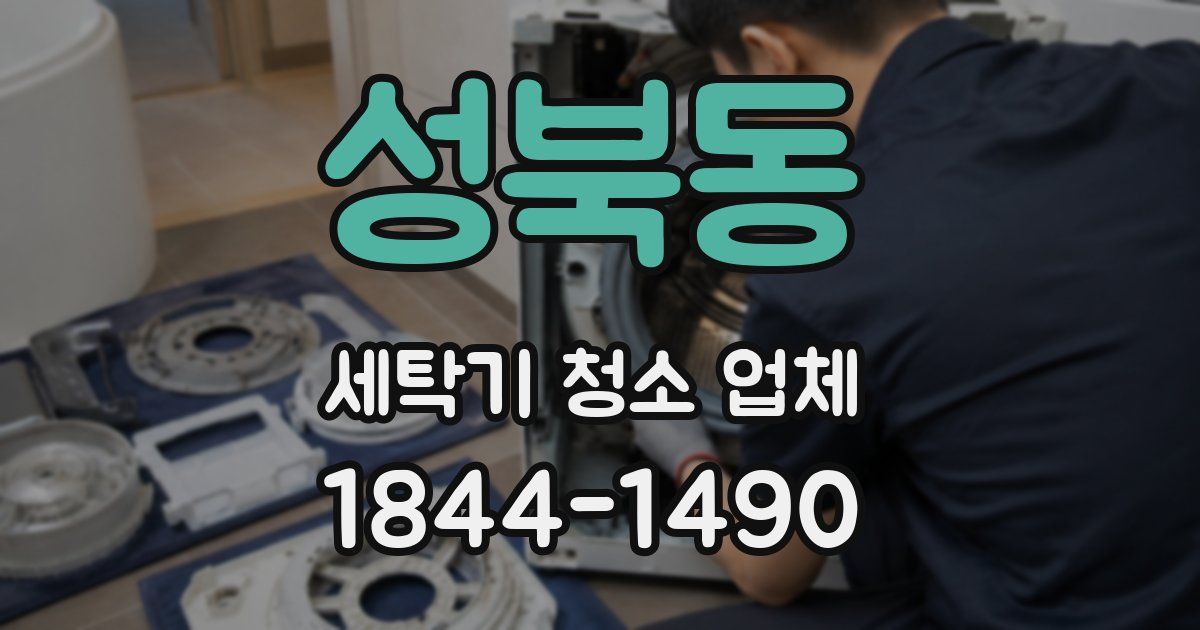 성북동 세탁기 청소 업체