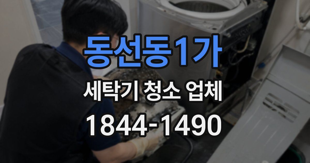 동선동1가 세탁기 청소 업체