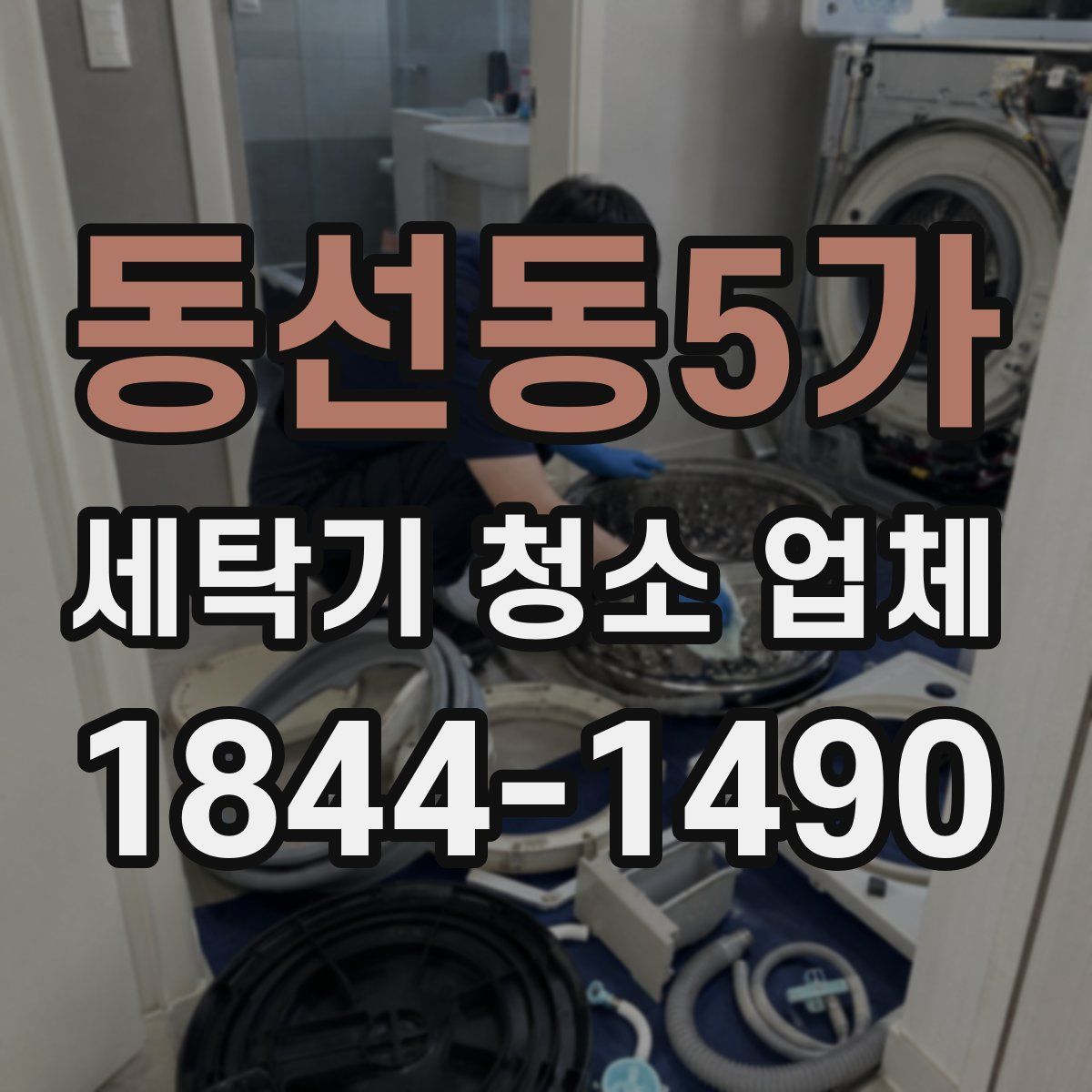 동선동5가 세탁기 청소 업체