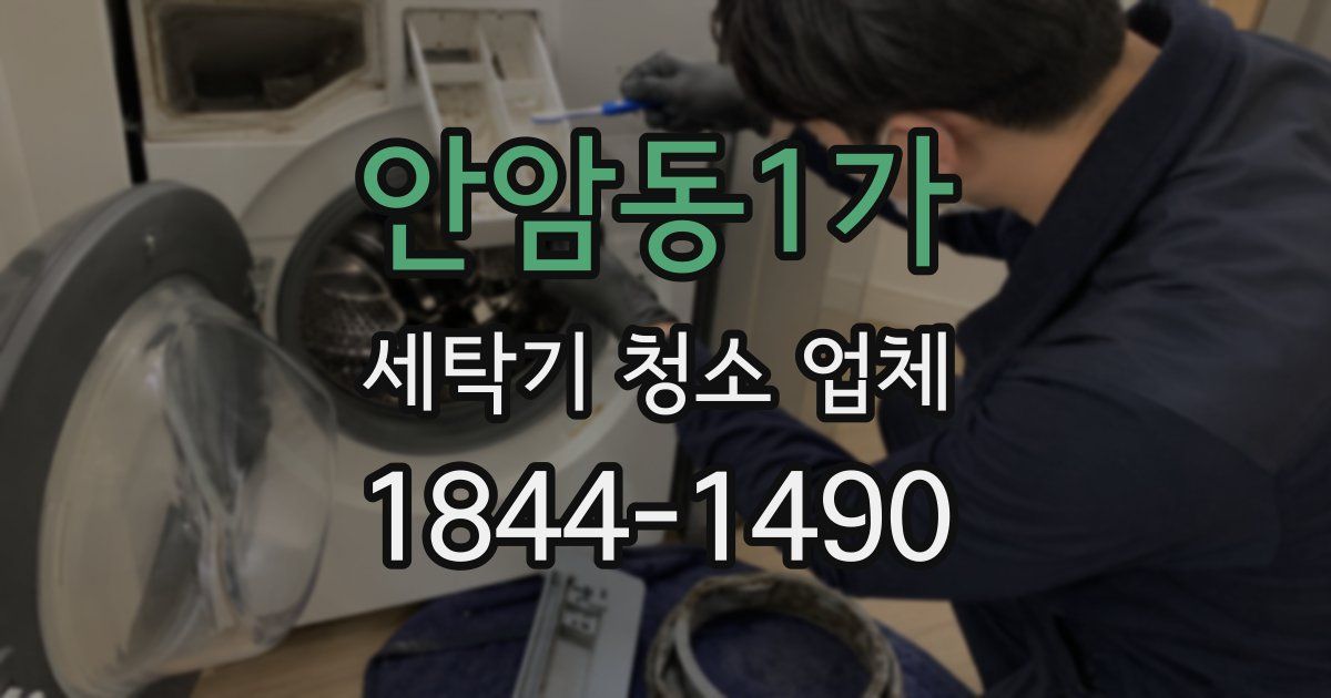 안암동1가 세탁기 청소 업체