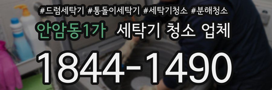 안암동1가 세탁기 청소 업체
