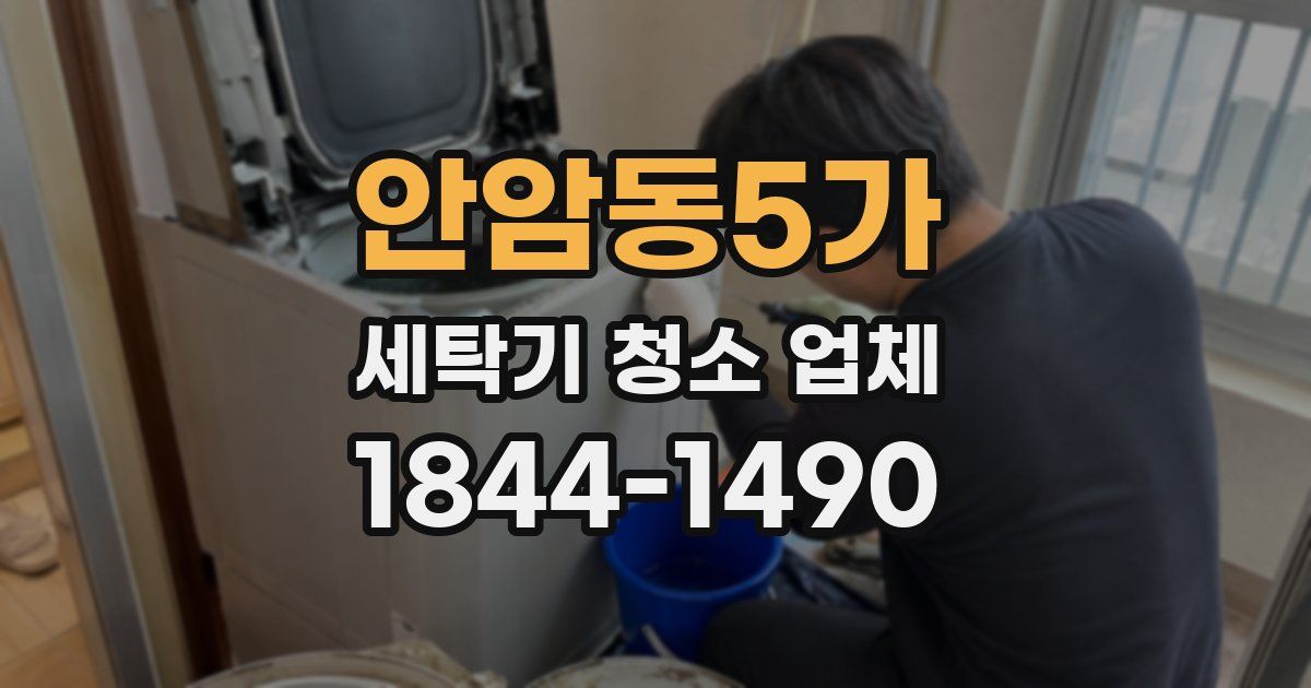 안암동5가 세탁기 청소 업체
