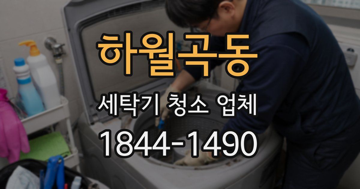 하월곡동 세탁기 청소 업체
