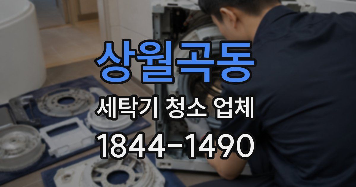 상월곡동 세탁기 청소 업체
