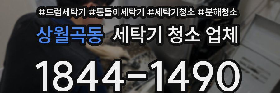 상월곡동 세탁기 청소 업체