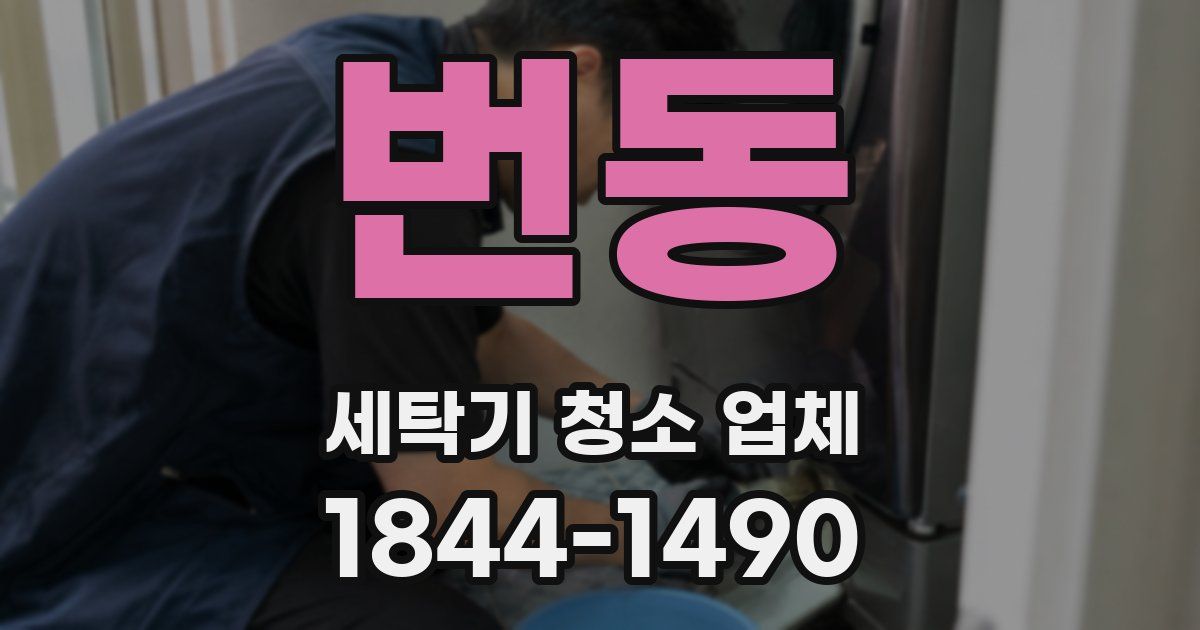 번동 세탁기 청소 업체