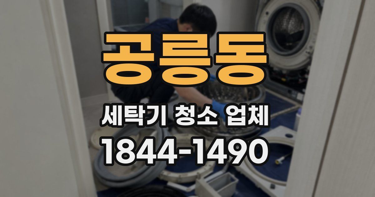 공릉동 세탁기 청소 업체