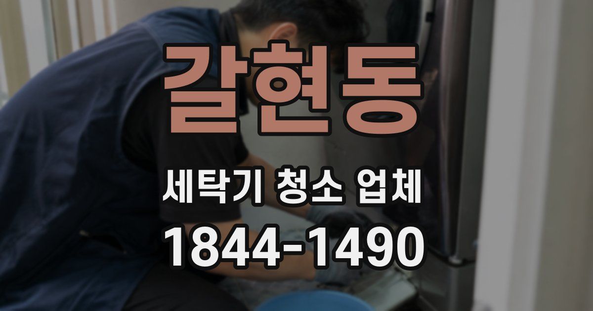 갈현동 세탁기 청소 업체