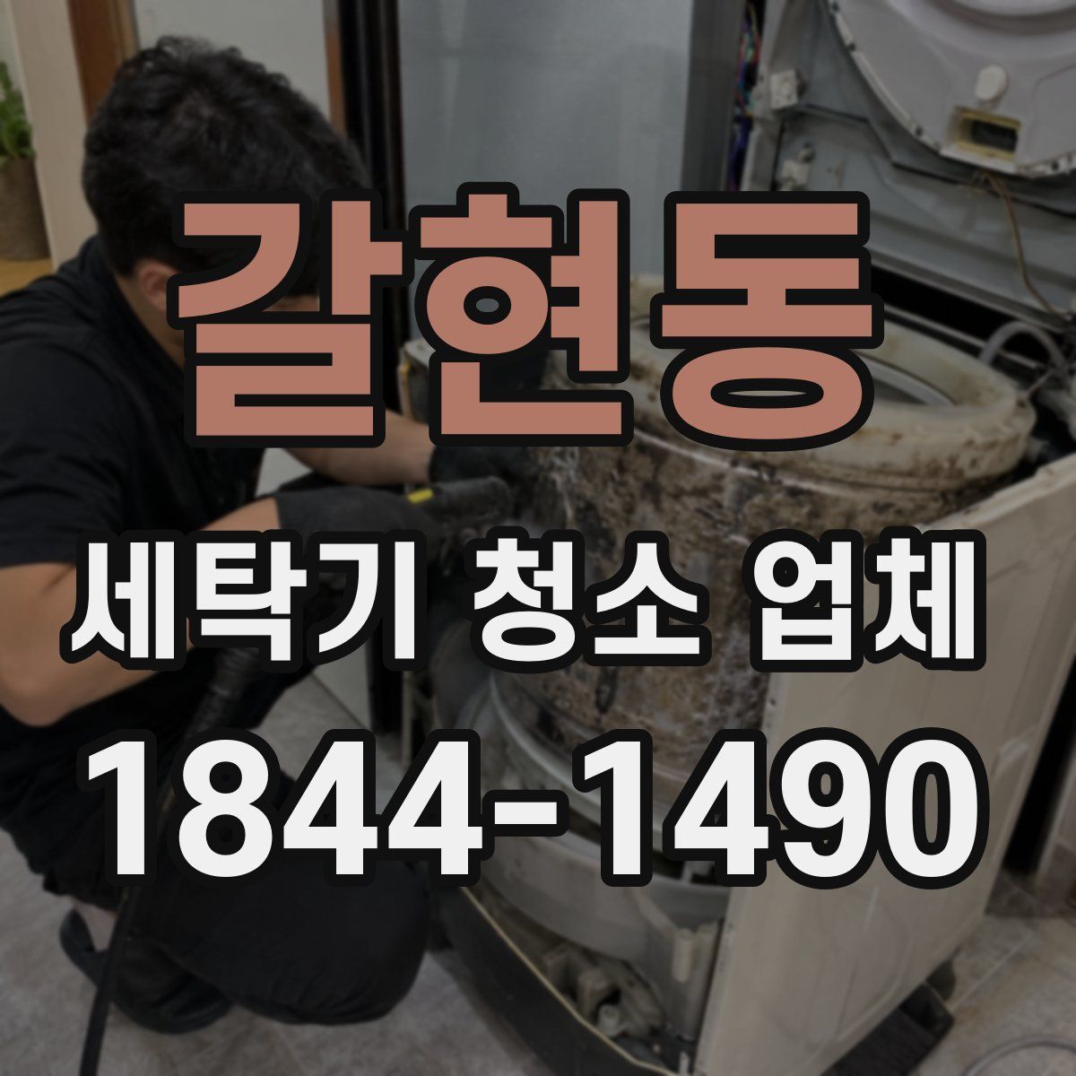 갈현동 세탁기 청소 업체