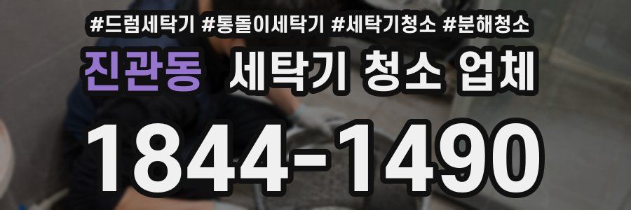 진관동 세탁기 청소 업체