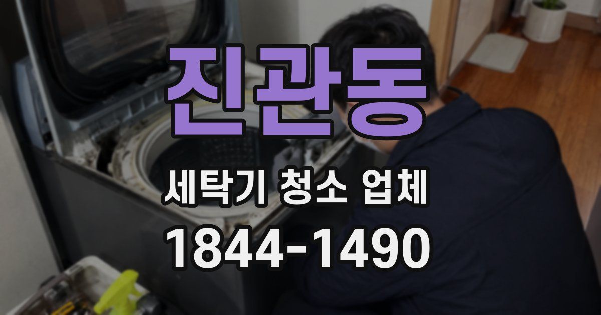 진관동 세탁기 청소 업체