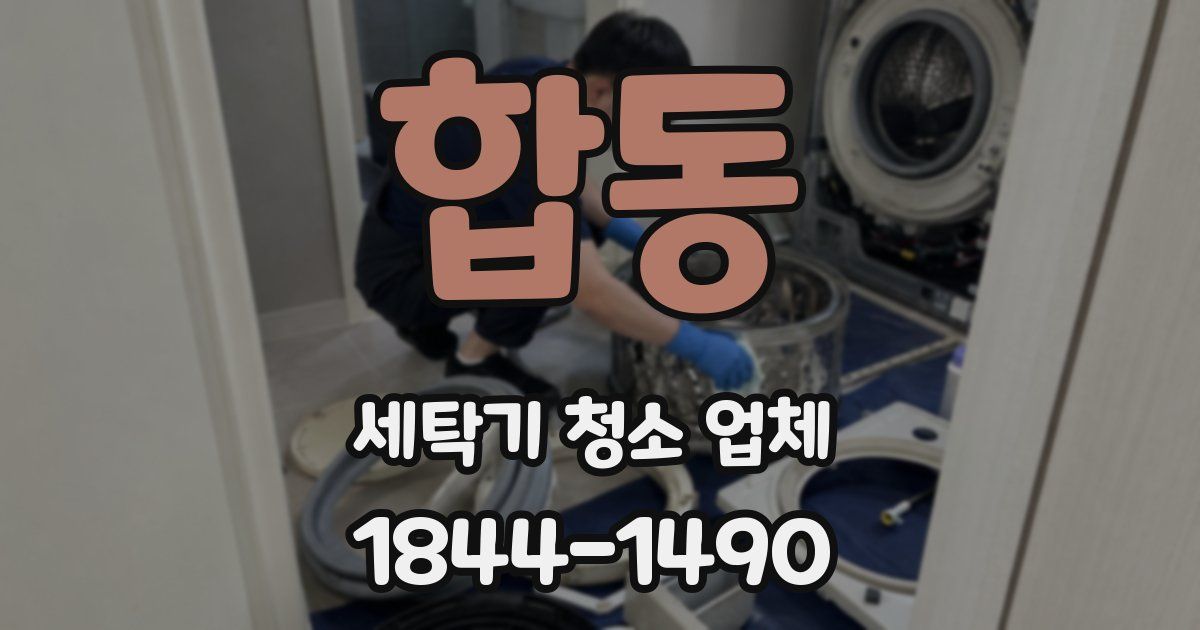 합동 세탁기 청소 업체