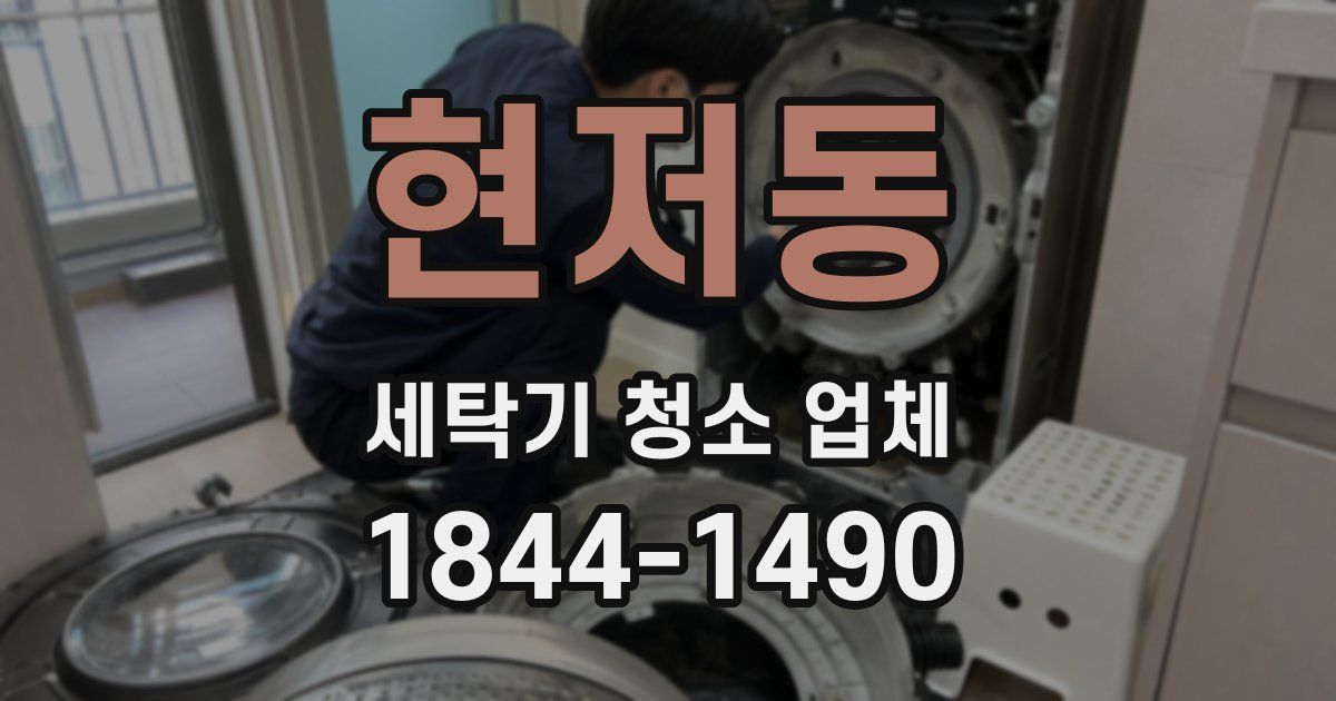 현저동 세탁기 청소 업체