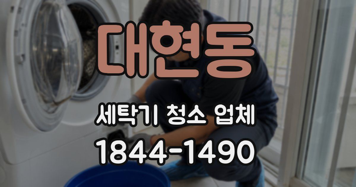 대현동 세탁기 청소 업체