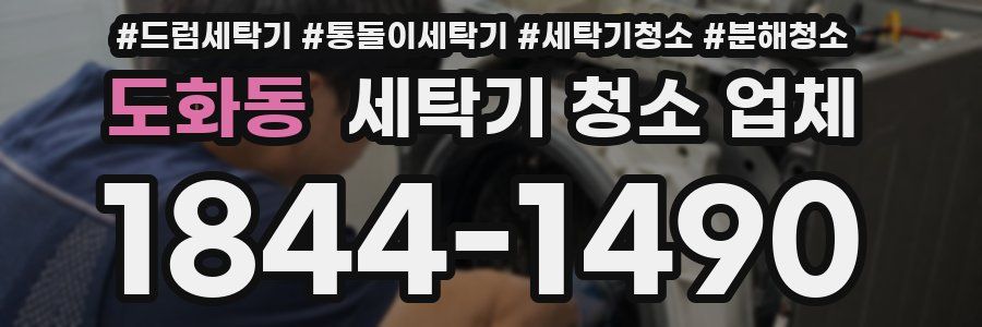 도화동 세탁기 청소 업체
