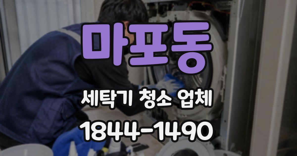 마포동 세탁기 청소 업체