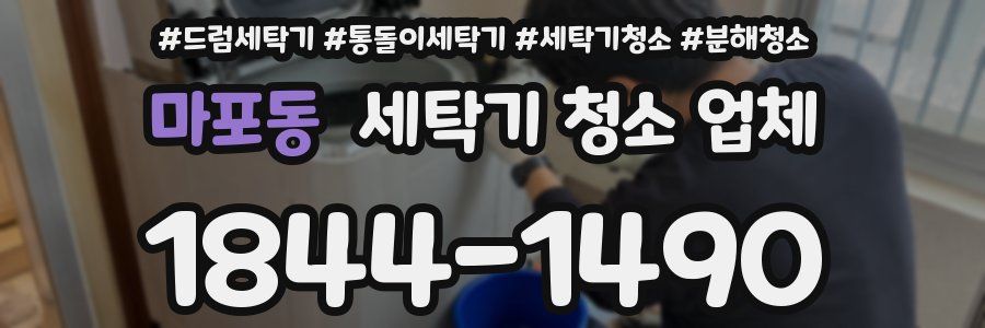 마포동 세탁기 청소 업체