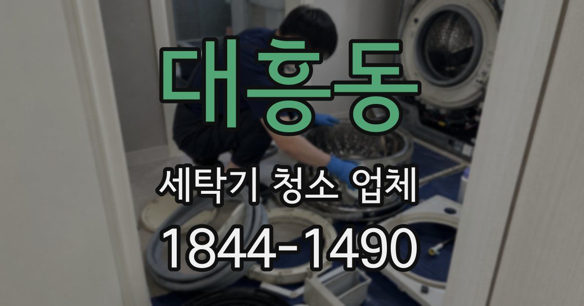 대흥동 세탁기 청소 업체