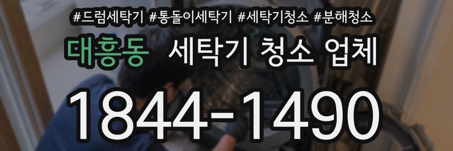 대흥동 세탁기 청소 업체