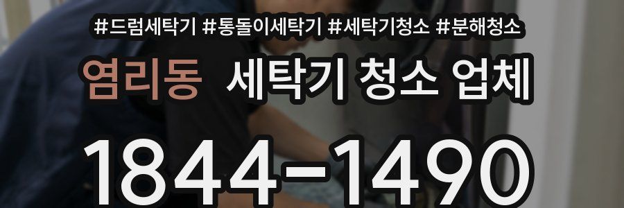 염리동 세탁기 청소 업체