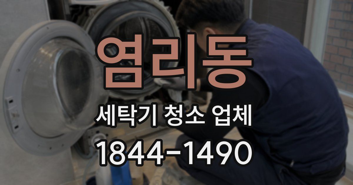 염리동 세탁기 청소 업체