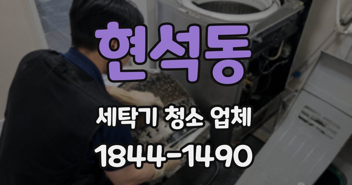 현석동 세탁기 청소 업체