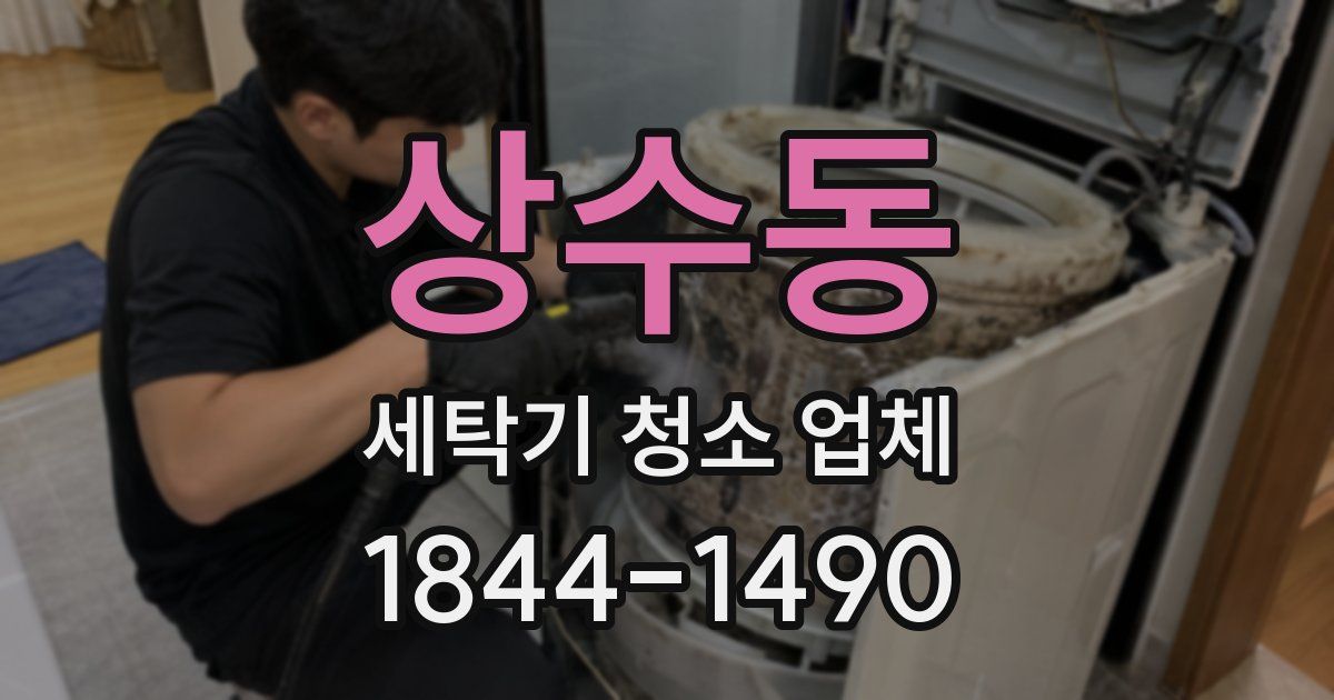 상수동 세탁기 청소 업체