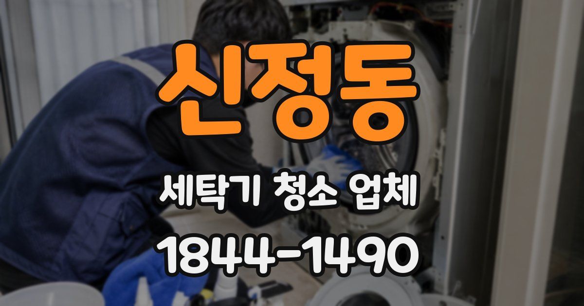 신정동 세탁기 청소 업체