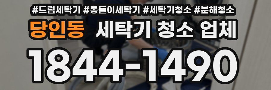당인동 세탁기 청소 업체