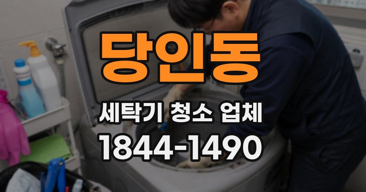 당인동 세탁기 청소 업체