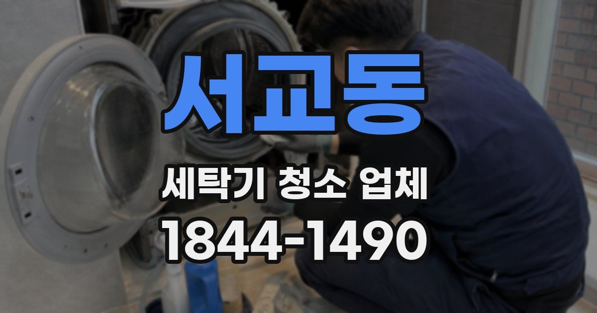 서교동 세탁기 청소 업체