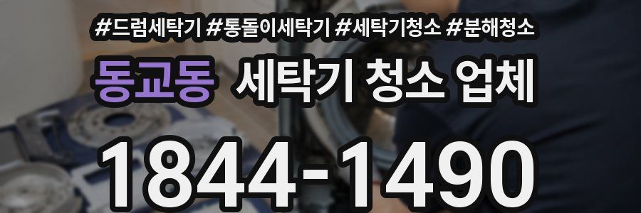 동교동 세탁기 청소 업체