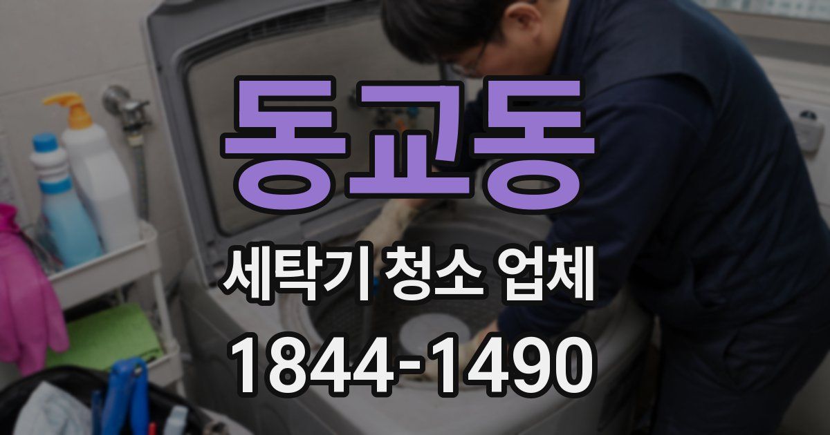 동교동 세탁기 청소 업체