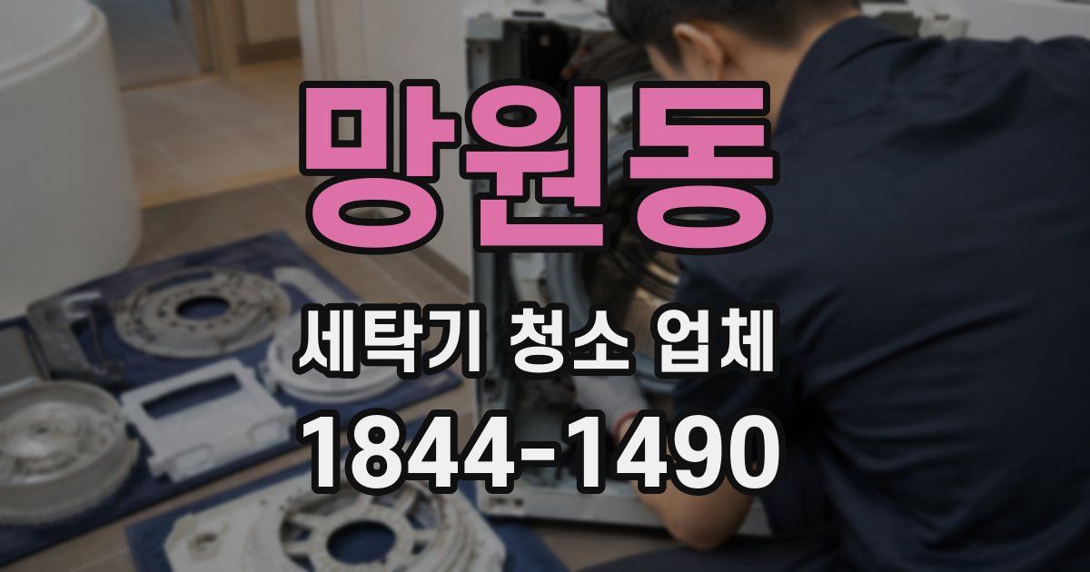 망원동 세탁기 청소 업체