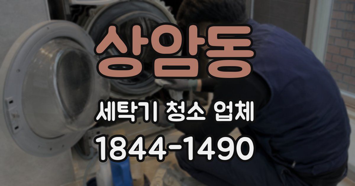 상암동 세탁기 청소 업체