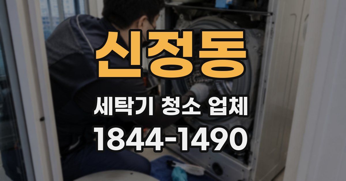 신정동 세탁기 청소 업체