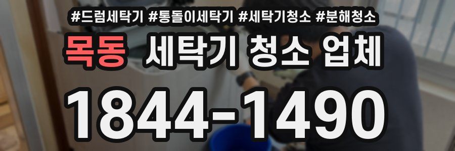 목동 세탁기 청소 업체