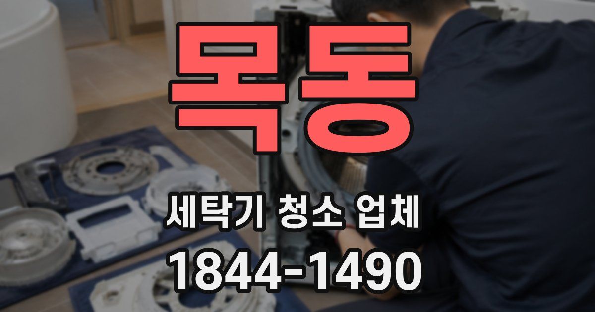 목동 세탁기 청소 업체